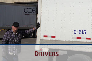 VSD Services