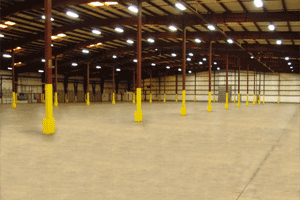 VSD Services