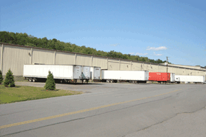 VSD Services