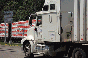 VSD Services