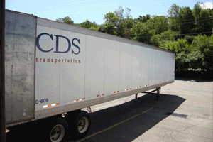 VSD Services