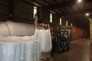 VSD Services