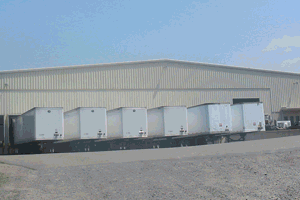 VSD Services