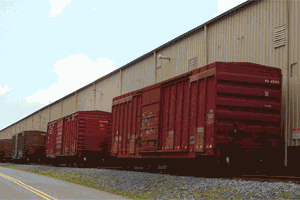 VSD Services